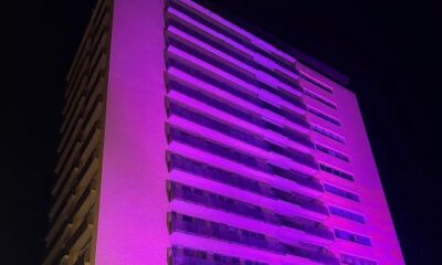 camera di commercio palermo rosa